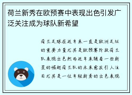 荷兰新秀在欧预赛中表现出色引发广泛关注成为球队新希望