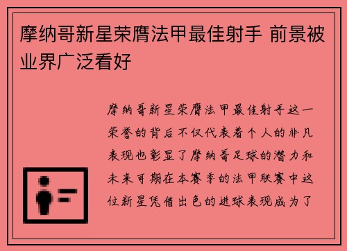 摩纳哥新星荣膺法甲最佳射手 前景被业界广泛看好