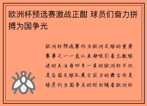 欧洲杯预选赛激战正酣 球员们奋力拼搏为国争光